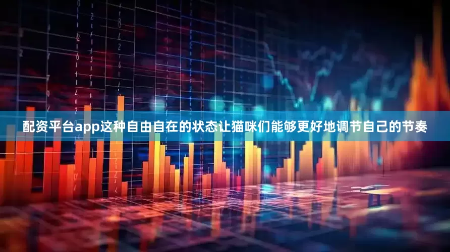 配资平台app这种自由自在的状态让猫咪们能够更好地调节自己的节奏