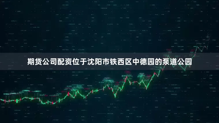 期货公司配资位于沈阳市铁西区中德园的泵道公园